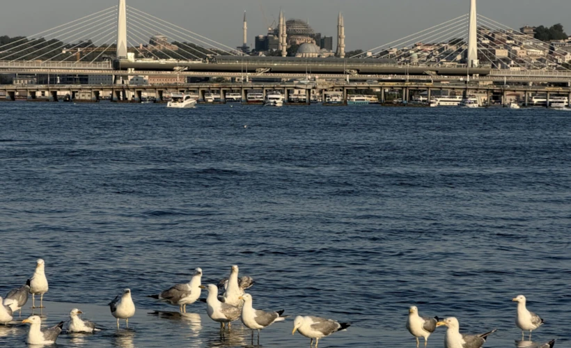 Tersane Istanbul'da Yaz Takvimi: Sezonun Öne Çıkan Deneyimleri