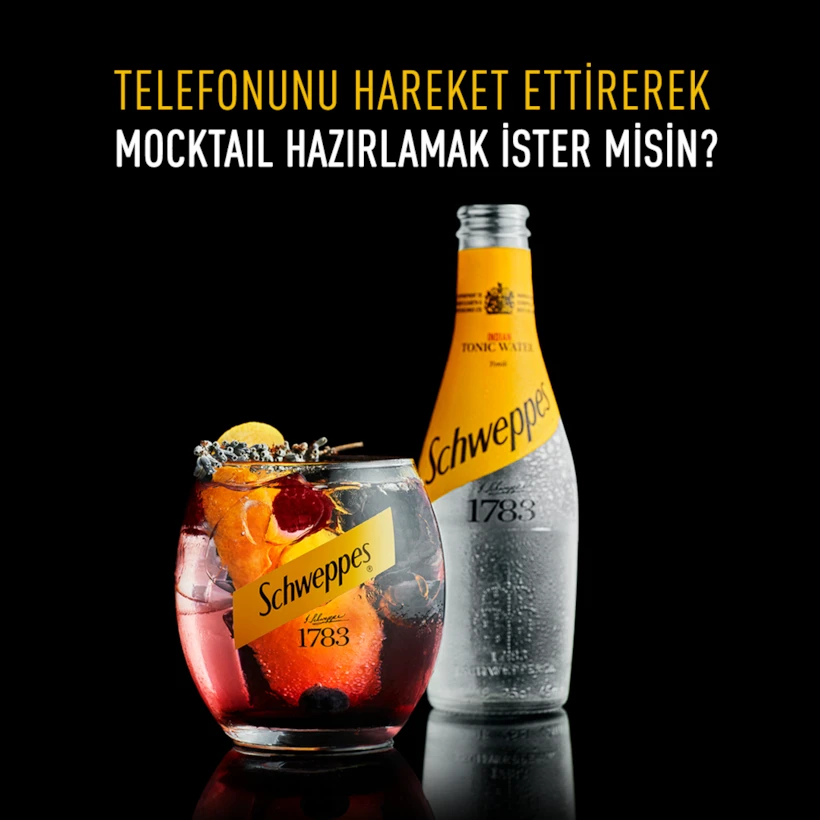 schweppes_interaktif_link_ad