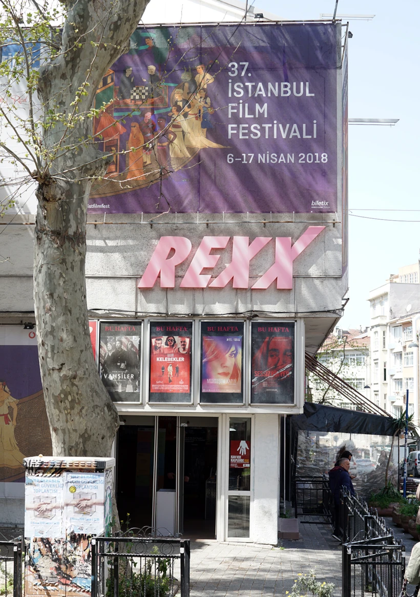 Rexx Sinemasi Giris