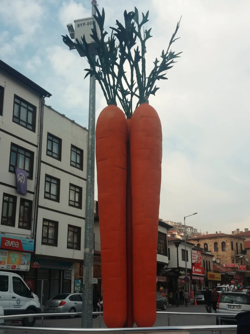 meydandaki havuç heykeli