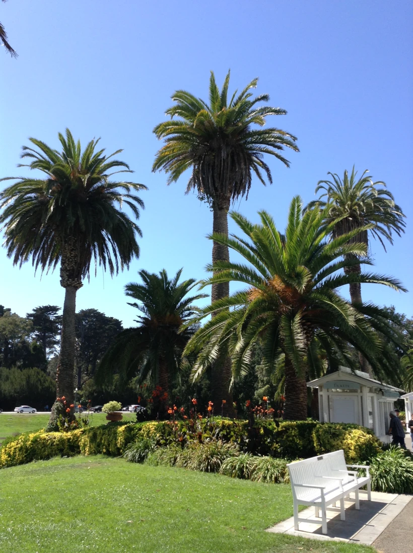 Golden Gate Park