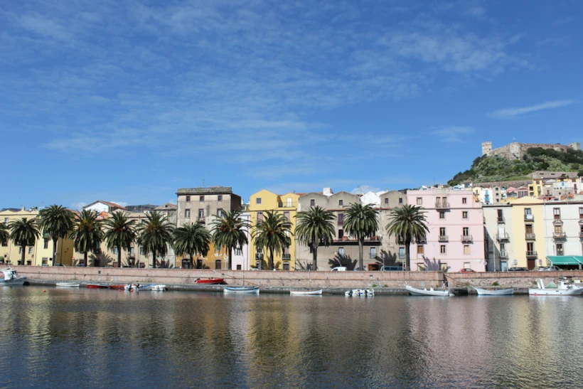 Bosa