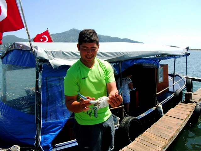 Usta Ellerden Taze Yengeç