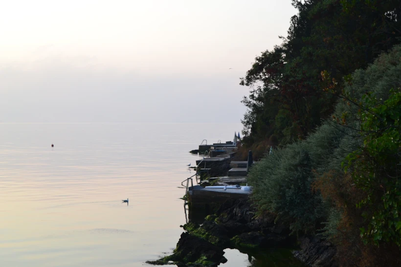 Sedefadası