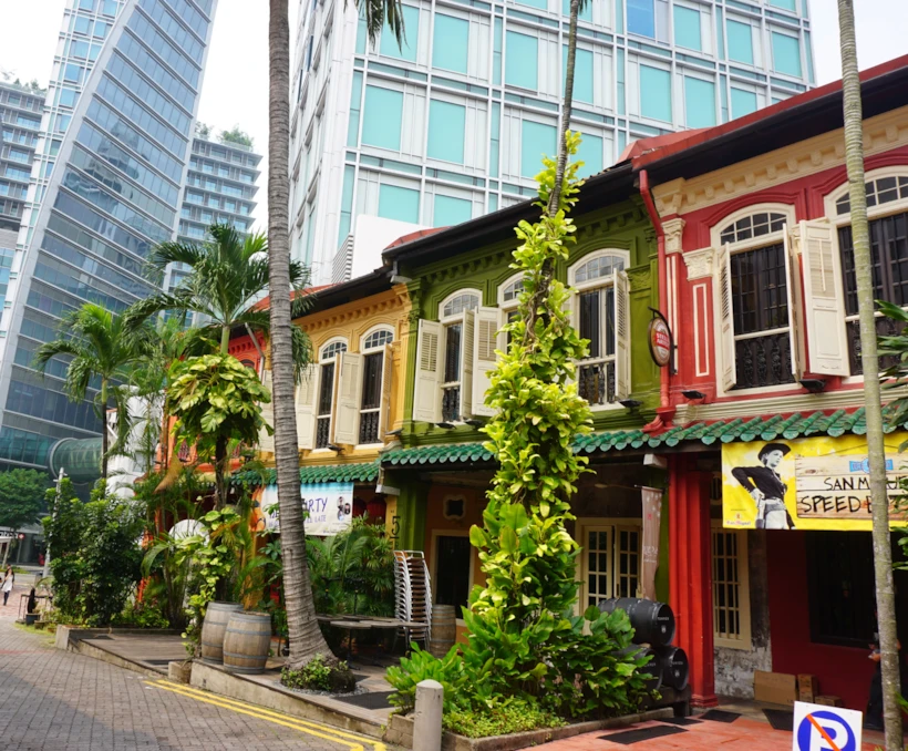 5  Maddede Mini Singapur Rehberi