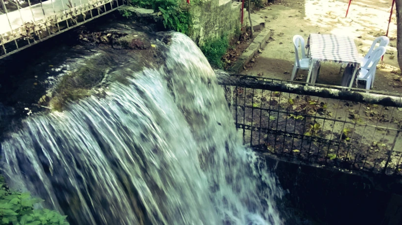Fotor112703813