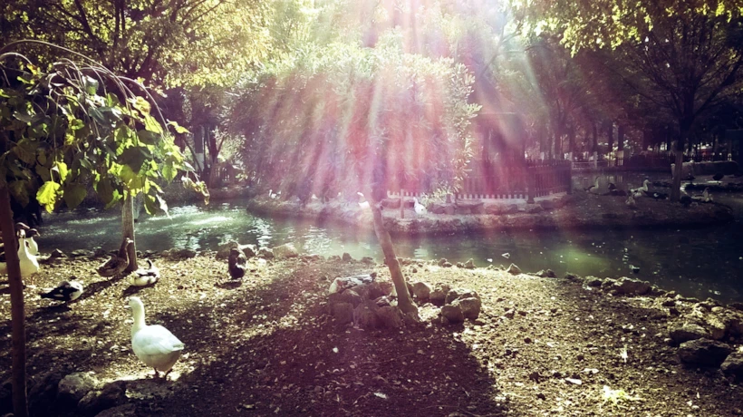 Fotor112711938