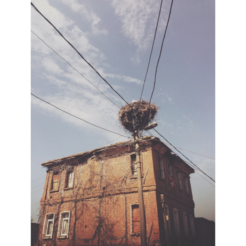 IMG_9833