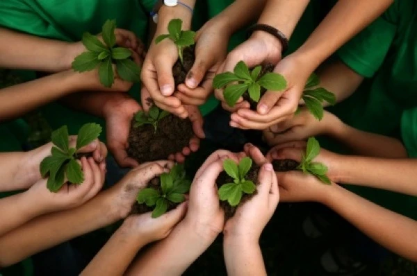Organic School Gardens_home page1