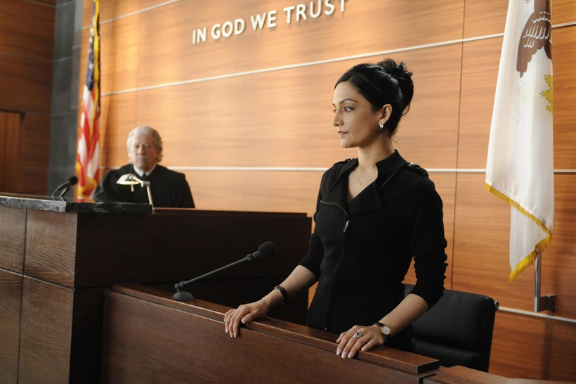 THE GOOD WIFE