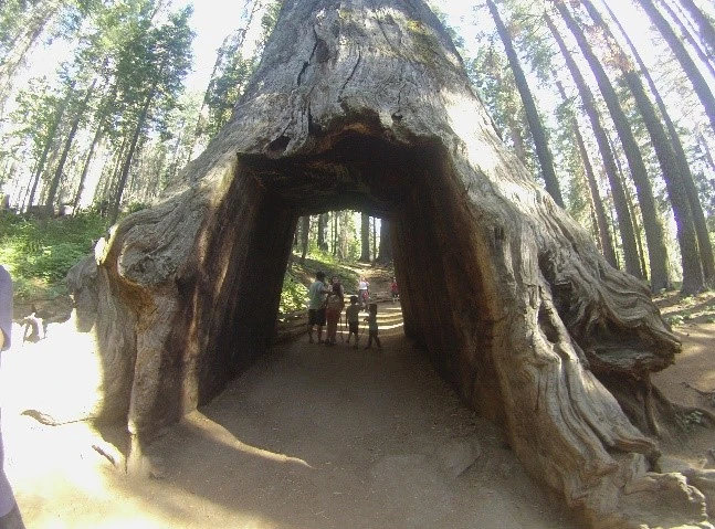 Yosemite