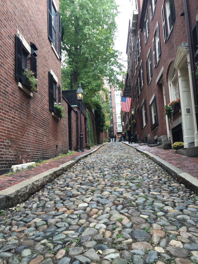 acorn st