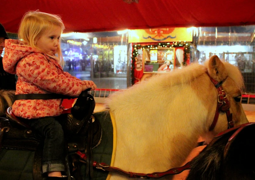 dortmunder_weihnachtsmarkt_mushaboom8 (11)