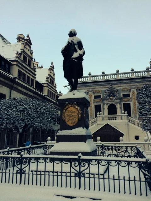 goethe heykel