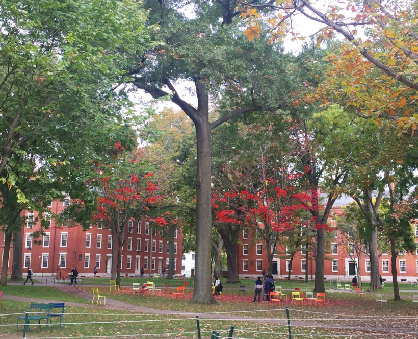 harvard