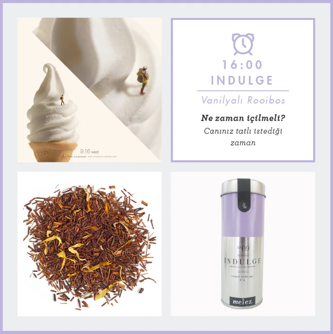 indulge