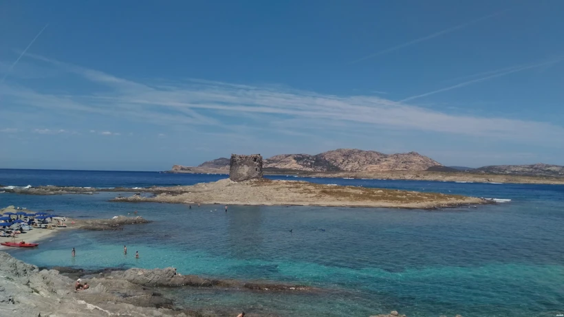 la pelosa