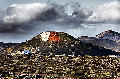 La Geria Vineyard, Lanzarote