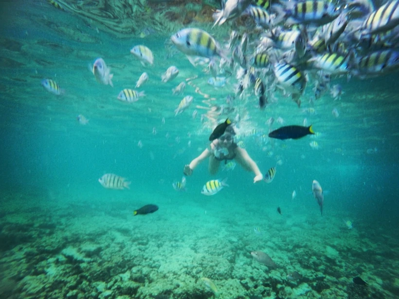phiphi