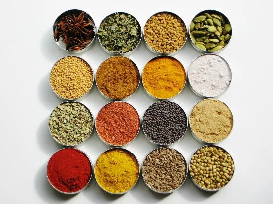 sangam-indian-cuisine