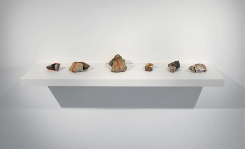 Genç Yeni Köpüklü (Sanat)