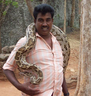 Sri Lanka: Görme Duyunuzu Yeniden Keşfedin!