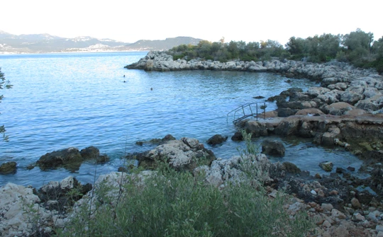 Hidayet’in Koyu