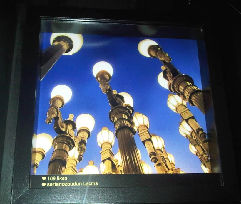IMG00858-20121009-1310