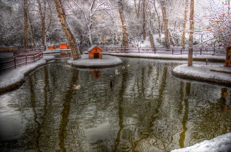 Kuğulu park 2