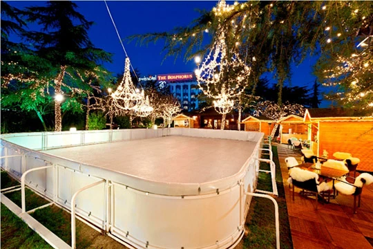 winter wonderland