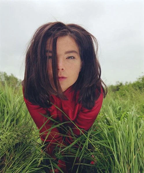 björk