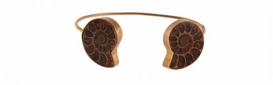 Gold Ammonite