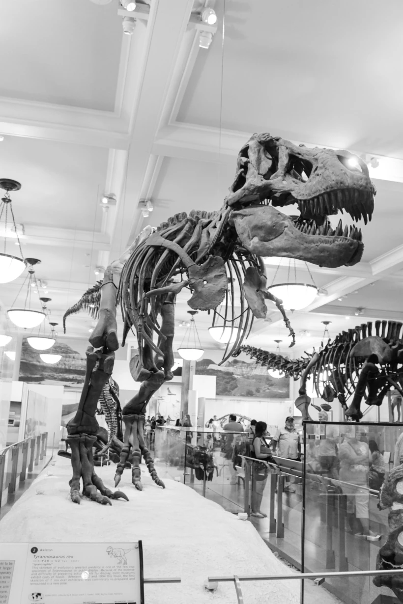 American Museum of Natural History