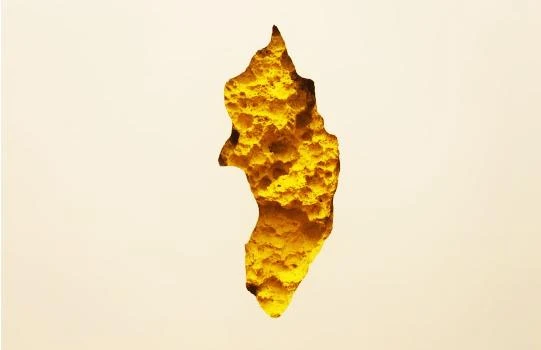 Çiçek – Anish Kapoor