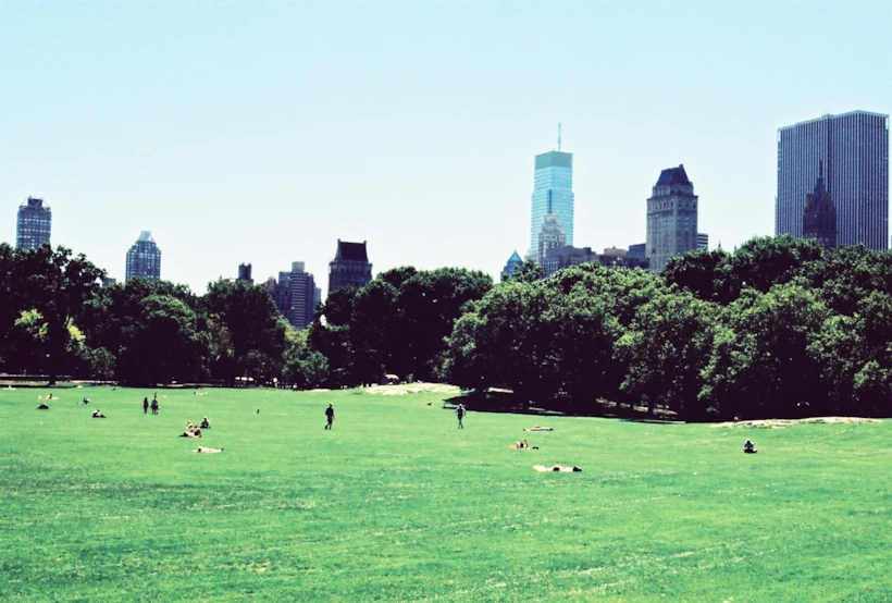 new york city