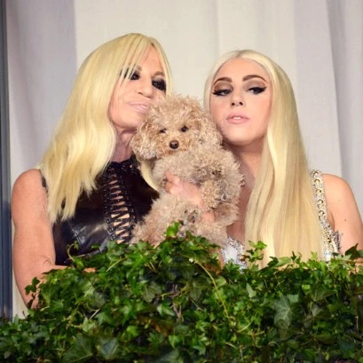 lady gaga & versace