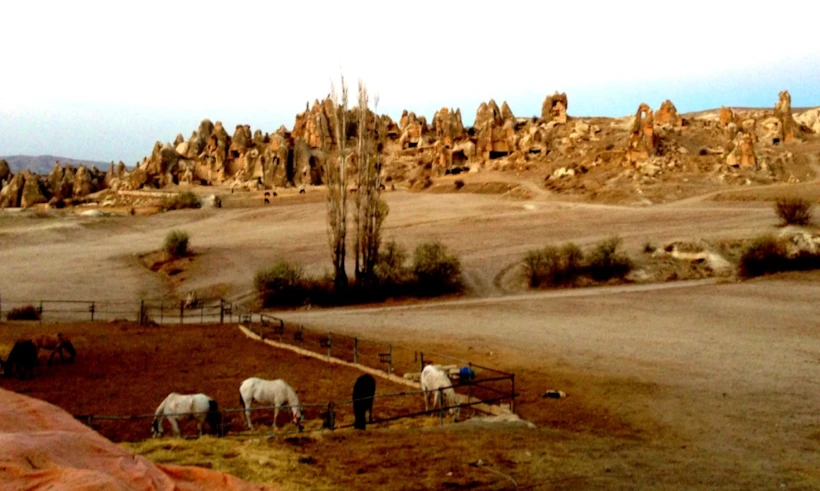 Kapadokya