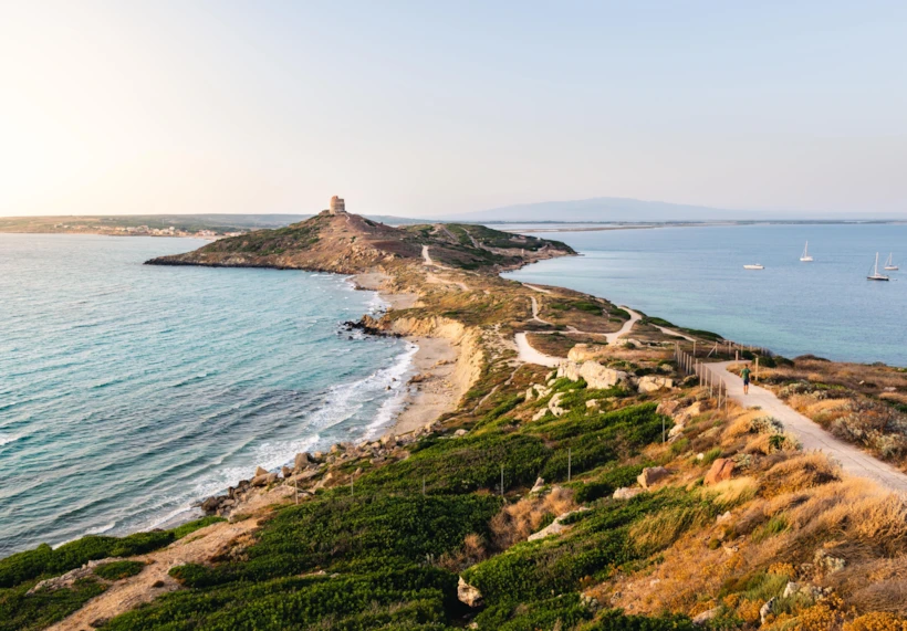 Sardinya Adası