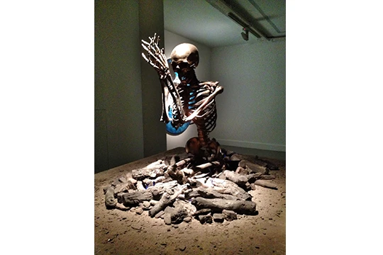 marc quinn 6