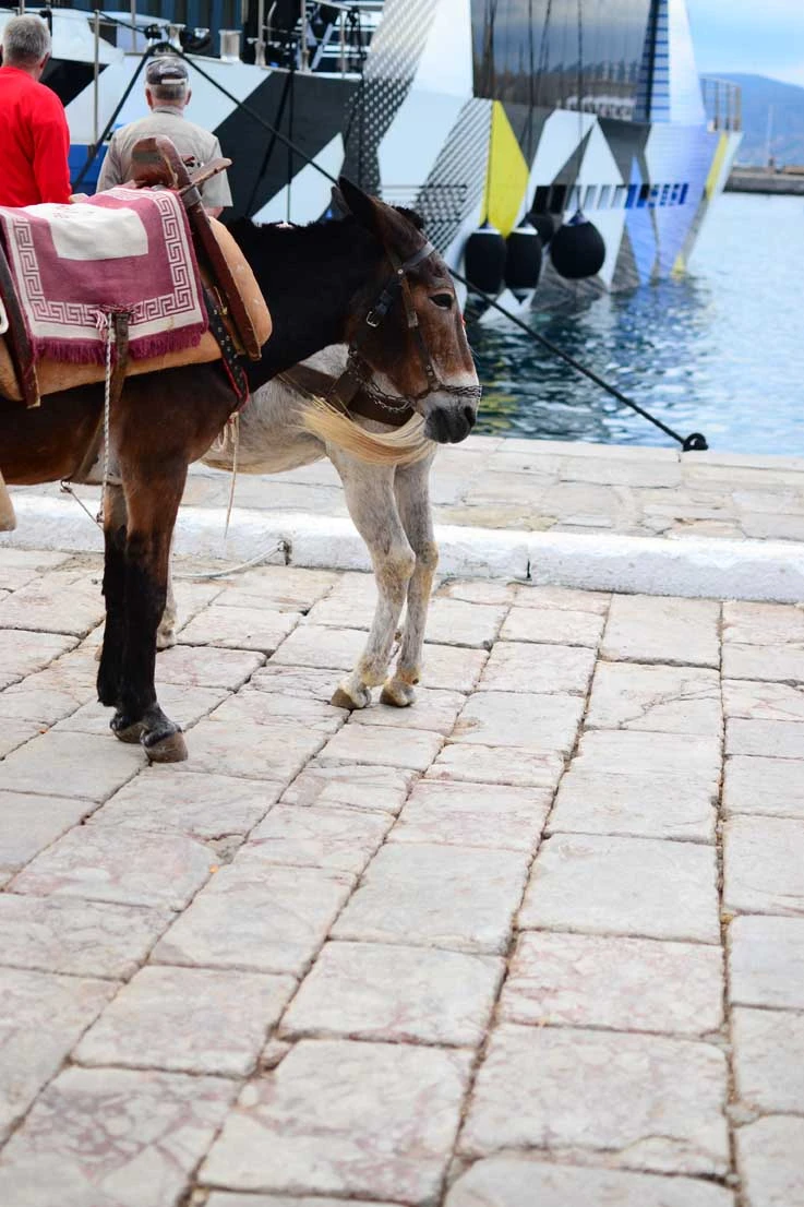 Eşek – hydra adası