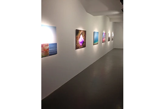 bahar yurukoglu 2
