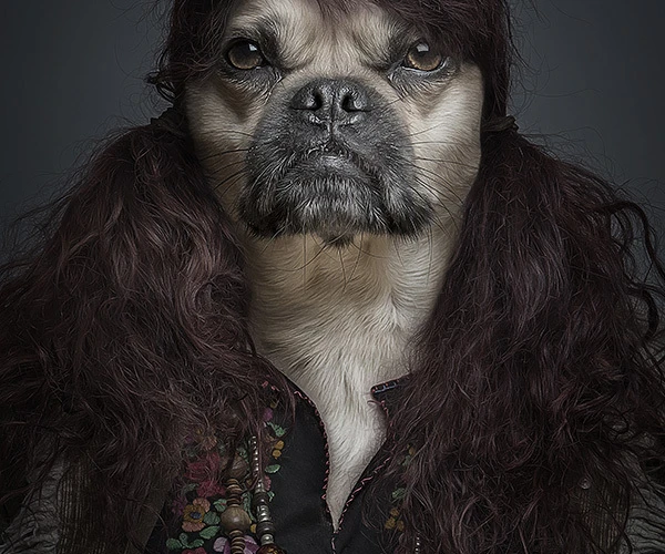 Köpekler Sahiplerine Benzer: Sebastian Magnani'den "Underdogs" Projesi