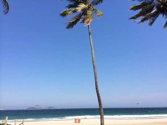 Rio2