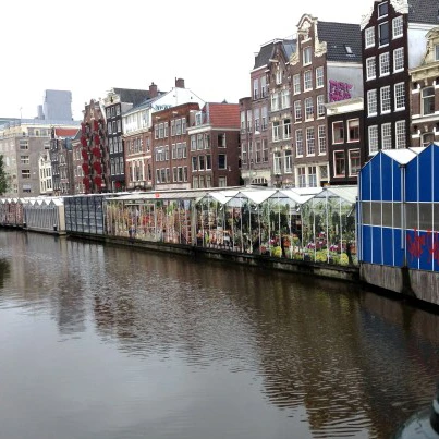 Bir Amsterdam Hikayesi