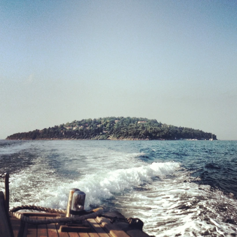 Sedefadası