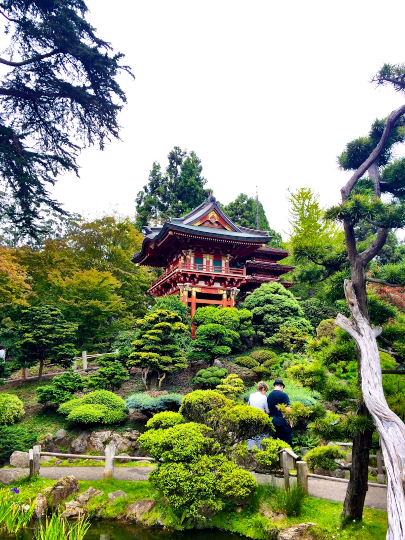 san francisco – japanese tea garden