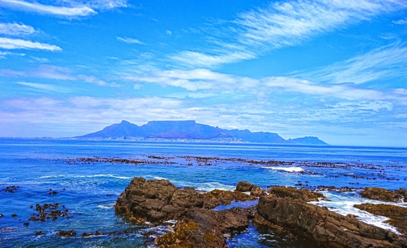 2014 Dünya Tasarım Başkenti: Cape Town