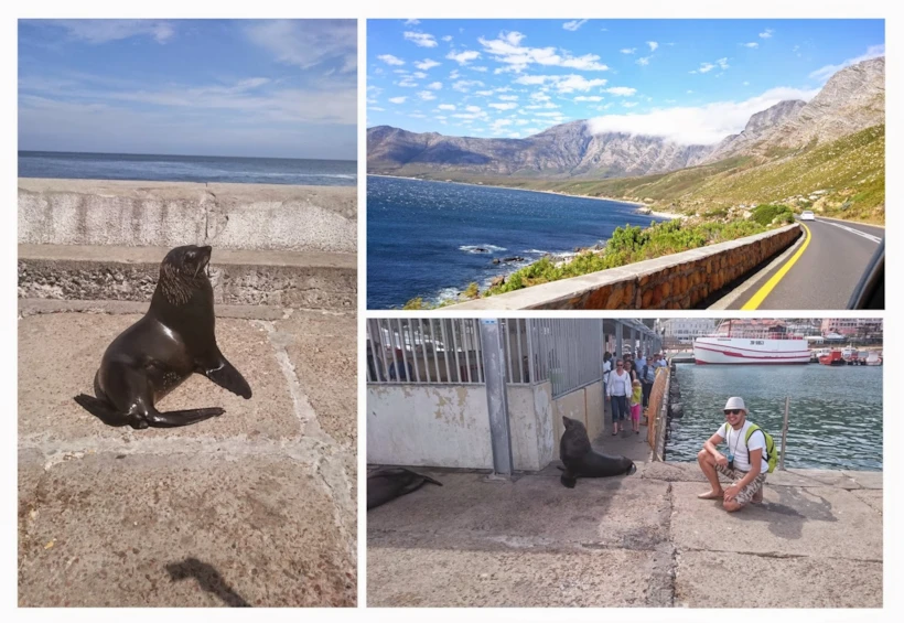 cape town 13