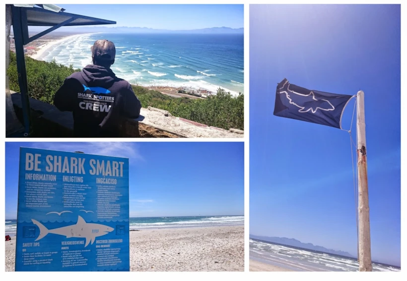 cape town 17