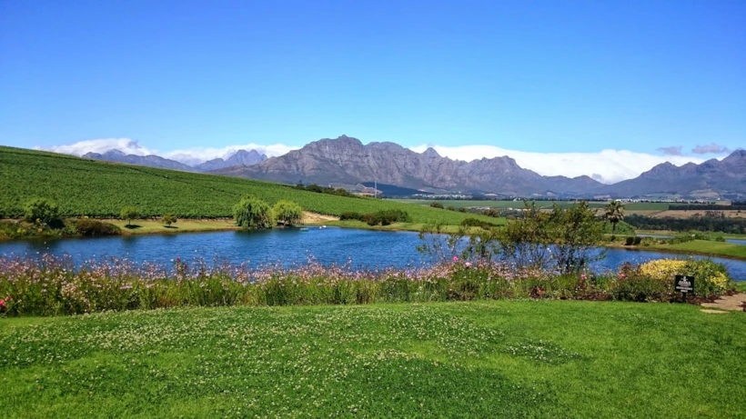 cape town 23